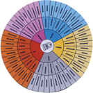 El círculo de las emociones